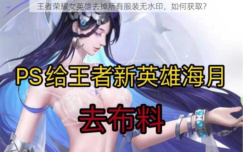 王者荣耀女英雄去掉所有服装无水印，如何获取？