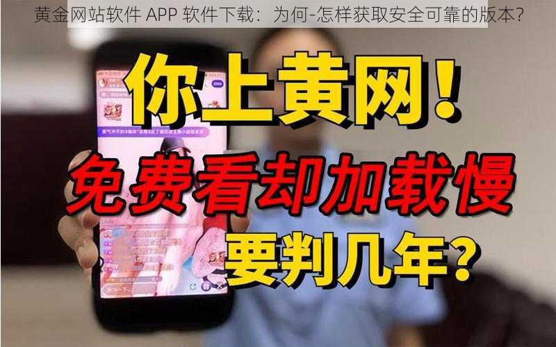 黄金网站软件 APP 软件下载：为何-怎样获取安全可靠的版本？