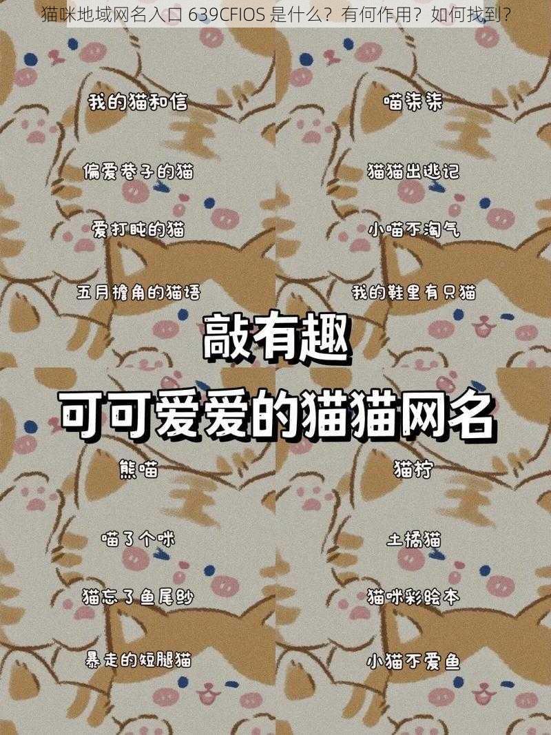 猫咪地域网名入口 639CFIOS 是什么？有何作用？如何找到？