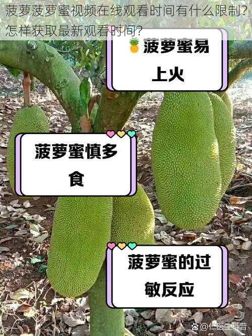 菠萝菠萝蜜视频在线观看时间有什么限制？怎样获取最新观看时间？