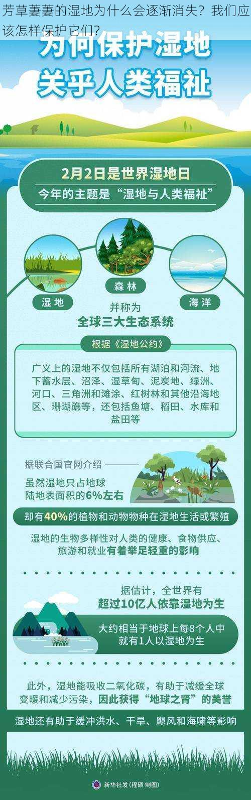 芳草萋萋的湿地为什么会逐渐消失？我们应该怎样保护它们？