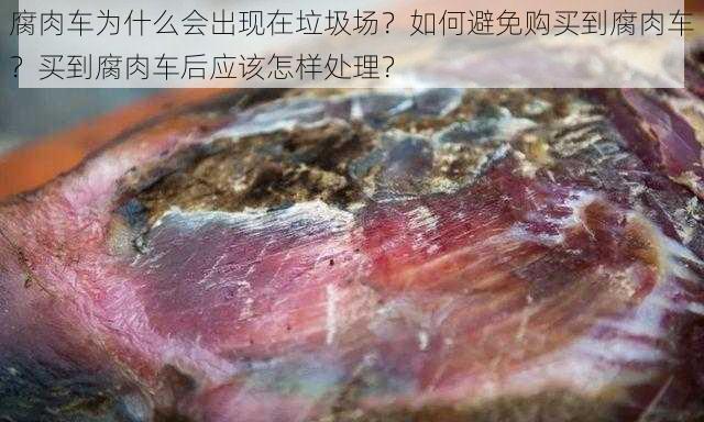 腐肉车为什么会出现在垃圾场？如何避免购买到腐肉车？买到腐肉车后应该怎样处理？