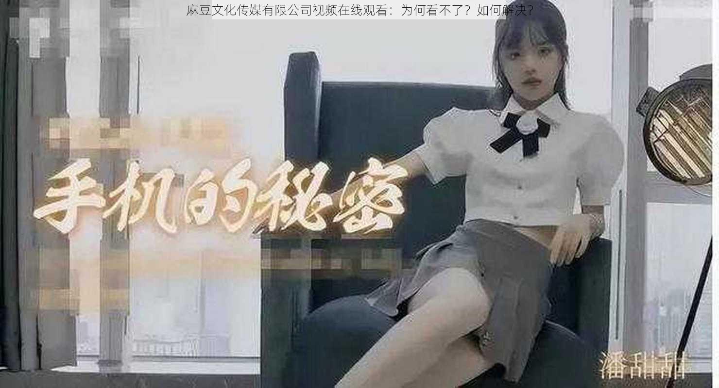 麻豆文化传媒有限公司视频在线观看：为何看不了？如何解决？