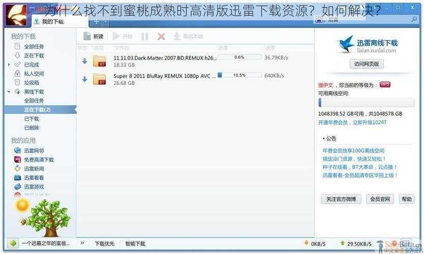 为什么找不到蜜桃成熟时高清版迅雷下载资源？如何解决？