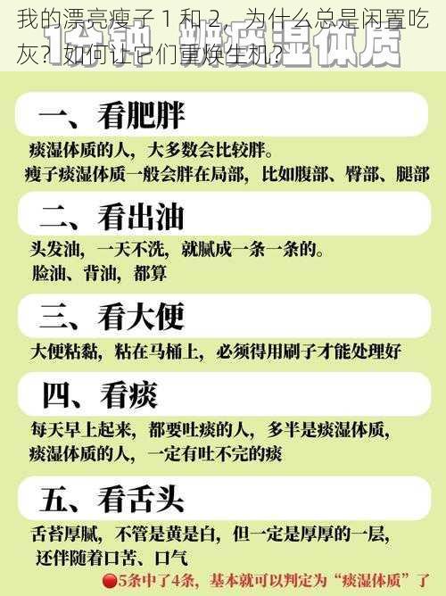 我的漂亮瘦子 1 和 2，为什么总是闲置吃灰？如何让它们重焕生机？