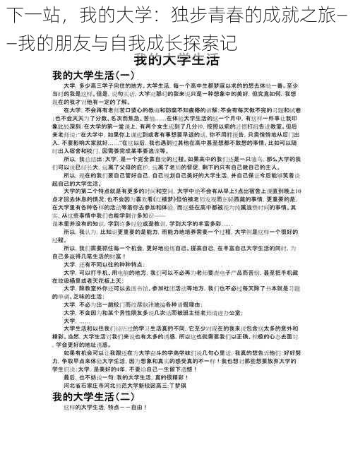 下一站，我的大学：独步青春的成就之旅——我的朋友与自我成长探索记