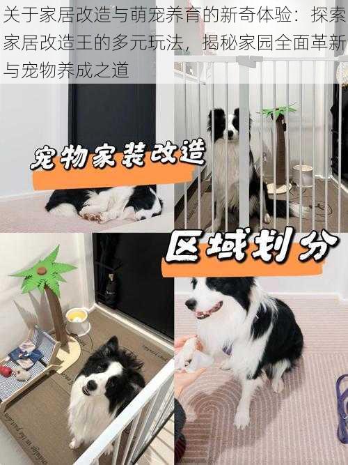 关于家居改造与萌宠养育的新奇体验：探索家居改造王的多元玩法，揭秘家园全面革新与宠物养成之道